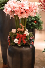 Recently had brunch at a hotel in Shanghai, China - the place was decked out and ready for the...