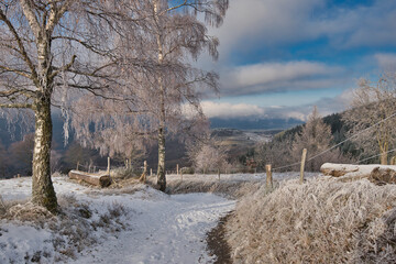 Winterlandschaft nahe Belmont in den Vogesen