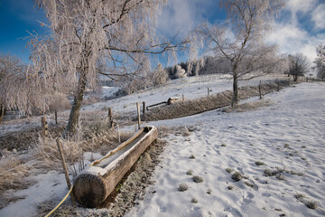 Winterlandschaft nahe Belmont in den Vogesen