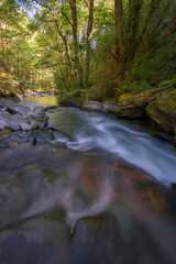 Obraz premium A river comes out of a dark canyon into a bright wooded valley