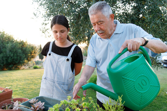 Un nonno ottantenne mostra nel suo giardino , alla nipote adolescente , come ci si prende cura delle piante 