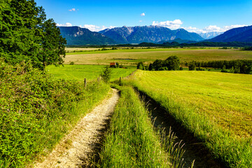 landscape at the Murnauer Moos - bavaria