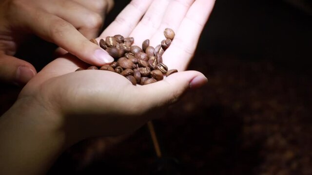 Close-up shot of Mixing dark roasted coffee beans in a cooler. Freshly roasted coffee beans on a cooling tray, being mixed by a rotating mechanical arm.