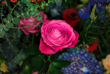 Close-up of a mixed bouquet of roses,summer flowers background.