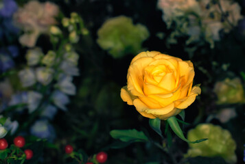 Close-up of a mixed bouquet of roses,summer flowers background.