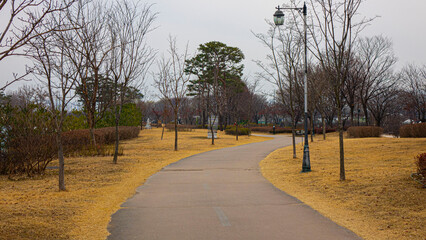 road in the park
