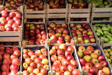 apples  and pears in wooden boxen. Market.