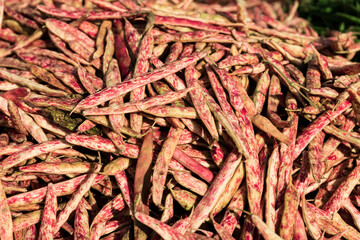 heap red pinto beans in grocery store