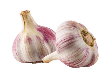Obraz premium Garlic isolated on white background