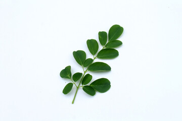 Moringa green leaves on white background.  Moringa Oleifera, tropical herbs.