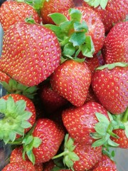 Strawberry. Fresh organic berries macro. Fruit background