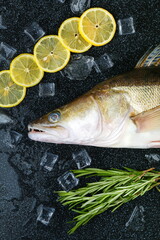 fish pike perch is on black background with ice