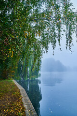 Herbstlandschaft bei Regen und Nebel über dem Wasser