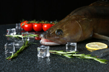 fish pike perch is on black background with ice