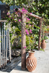 Cozumel Island San Miguel Town Flowerpot Decoration
