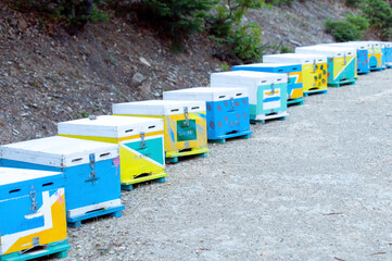 Greek bee houses in Evia