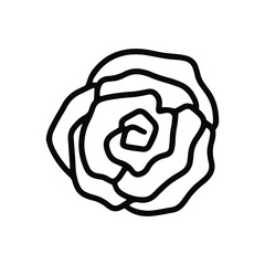 Simple vector hand drawn rose isolated on white background. Floral element design. Outline flower for web, greeting card, poster, clothes.