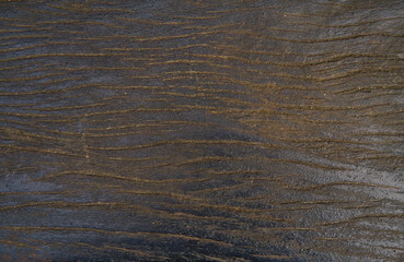 Old brown wooden wall background texture close up.
