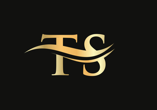 Letter TS Linked Logo for business and company identity. Creative Letter TS Logo Vector Template.