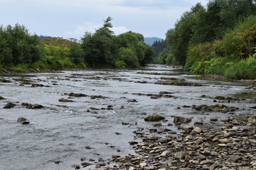 Obraz premium mountain river in the Carpathians
