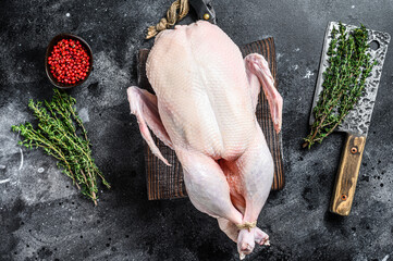 Raw whole duck, poultry meat. Black background. Top view