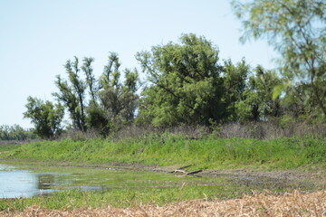 Paisaje de río 