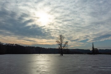 Frozen lake with a tree in the middle on a winter evening with blue and pink sky. Sun hiding behind...