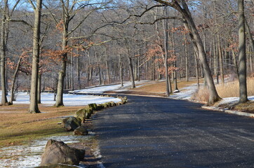 A country road with snow and trees