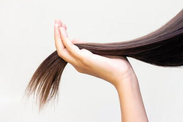 long brown hair on palm, hair care