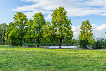 Seattle Lake Landscape