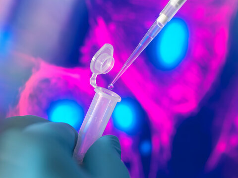 Hand of scientist pipetting sample into vial