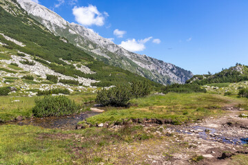 Banderitsa River Valley, Pirin Mountain, Bulgaria