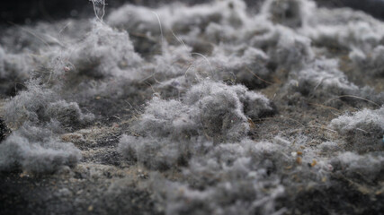 heap of domestic dust after cleaning in apartment, macro view, many microscopic pieces