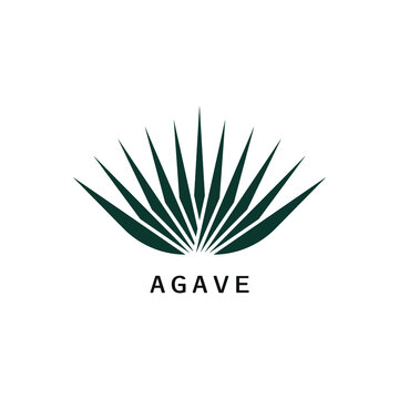 Agave icon design isolated on white background. Vector illustration