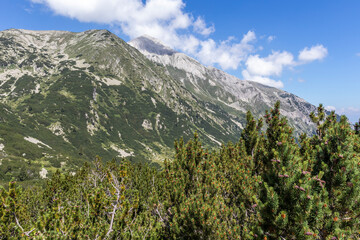 Obraz premium Banderitsa River Valley, Pirin Mountain, Bulgaria