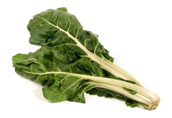 Fresh Vegetables - White Chard with Leaves on white Background Isolated