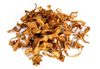 Dried Chanterelles on white Background Isolated