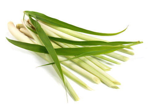 Lemon Grass with Lemongrass Leaves on white Background Isolated