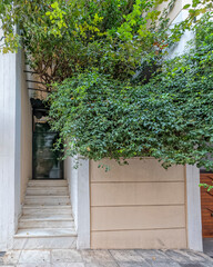 Fototapeta na wymiar Contemporary house front with foliage and green entrance door, Athens Greece