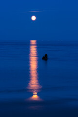 The Moon in Trengandin beach, Noja, Marismas de Santoña, Noja y Joyel Natural Park, Cantabrian Sea, Cantabria, Spain, Europe