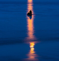 The Moon in Trengandin beach, Noja, Marismas de Santoña, Noja y Joyel Natural Park, Cantabrian Sea, Cantabria, Spain, Europe