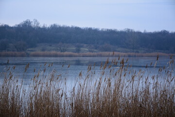 An early winter morning on the pond, which is gradually covered with ice.
