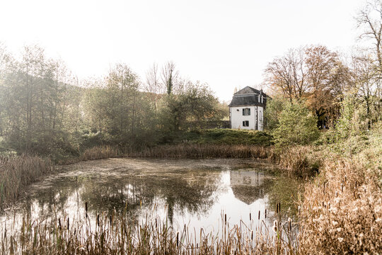 Germany, North Rhine-Westphalia, Konigswinter, Shiny pond of Heisterbach Abbey in autumn