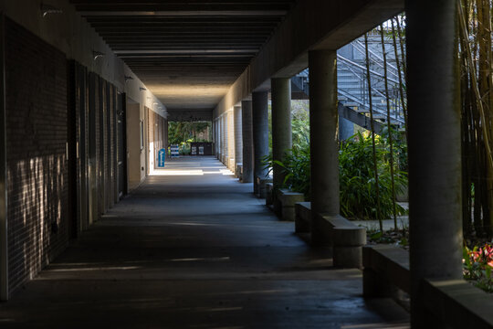 UNF Pathway