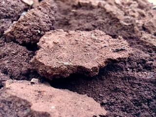soil in the ground