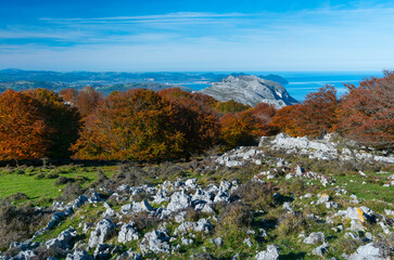 View of Mount Candina from Mount Cerredo, Beech forest in autumn at Cerredo Mountain, Cantabrian...