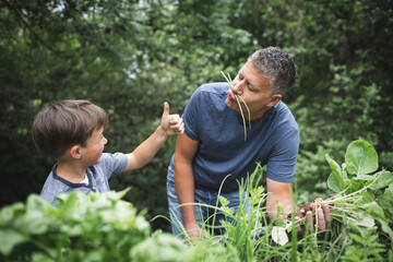 Boy showing thumbs up to playful father while harvesting vegetables at garden
