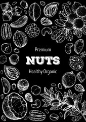 Nuts collection hand drawn sketch. Vector illustration. Organic healthy food. Great for packaging design. Engraved style. Black and white color