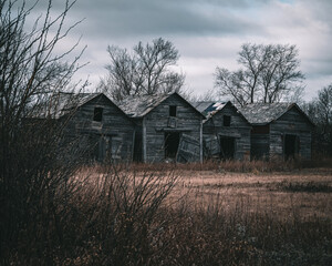 Fototapeta premium abandoned prairie homestead