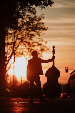 Silhouette of musician holding double bass while standing on road during sunset